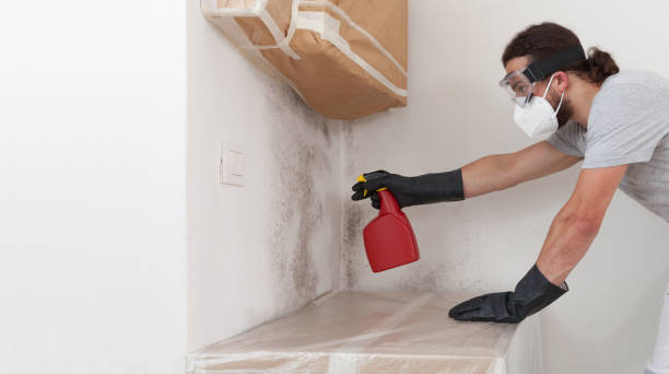 Professional Mold Remediation technician working in Westwood, MI